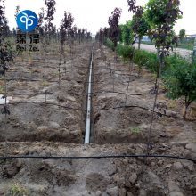 精准灌溉，润物无声——果树滴灌技术引领农业节水新时代