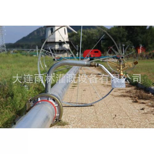 雨林厂家现货供应 滚移式喷灌机助力高效农业灌溉